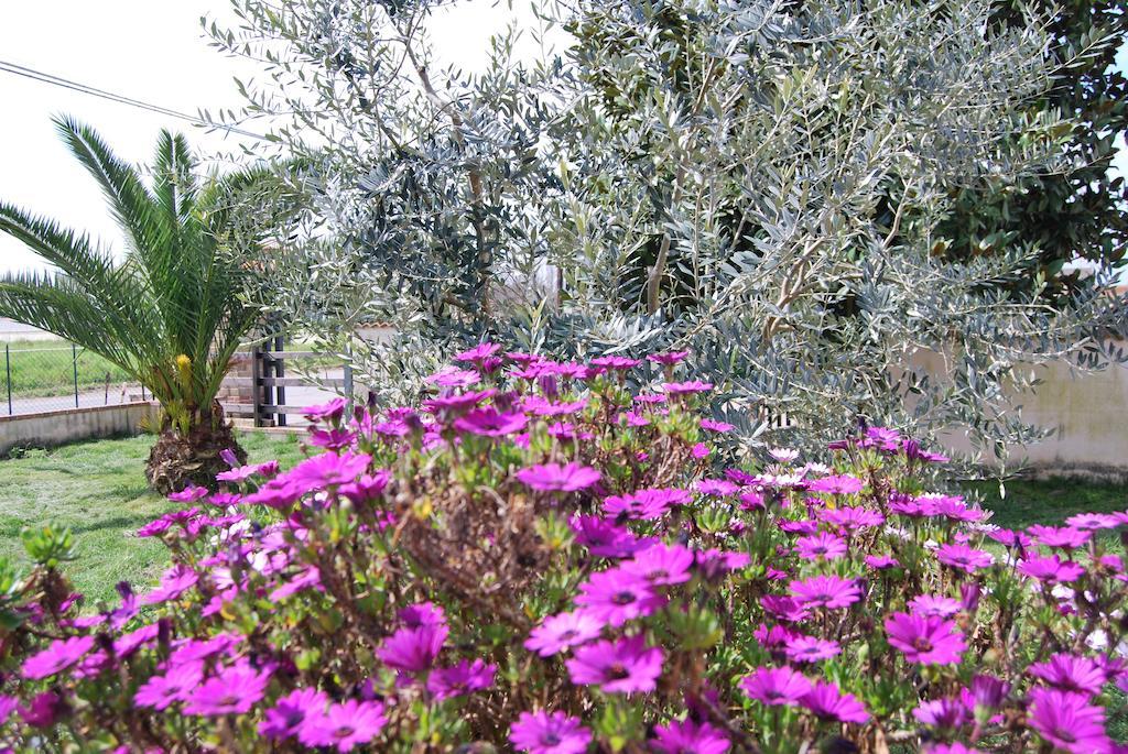 Agriturismo Torre Cristina Aprilia Extérieur photo