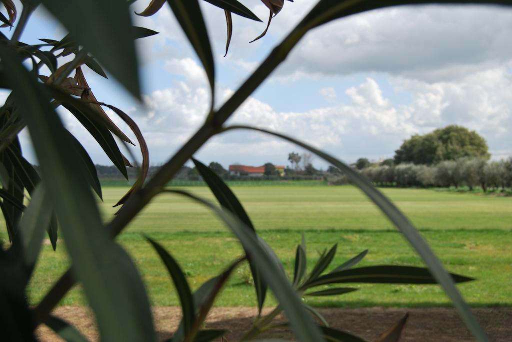 Agriturismo Torre Cristina Aprilia Extérieur photo