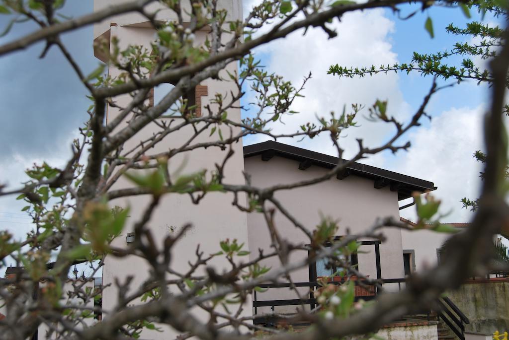 Agriturismo Torre Cristina Aprilia Extérieur photo