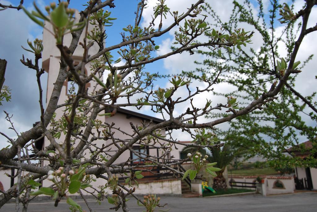 Agriturismo Torre Cristina Aprilia Extérieur photo